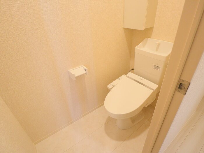 セレスティンワール  その他4