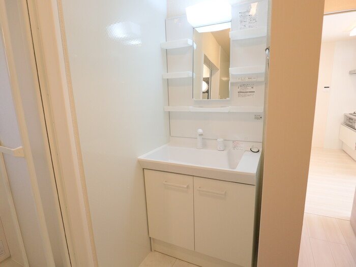 セレスティンワール  その他6