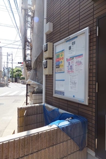 さくら その他2
