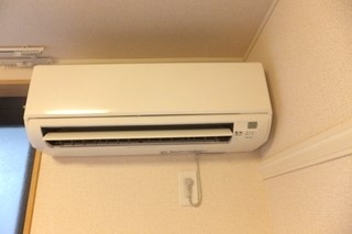 ベルファム その他13