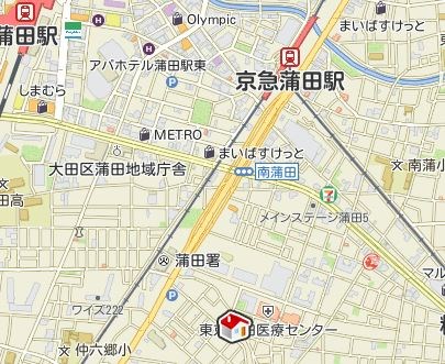 クレールメゾンⅡ 地図（共通）