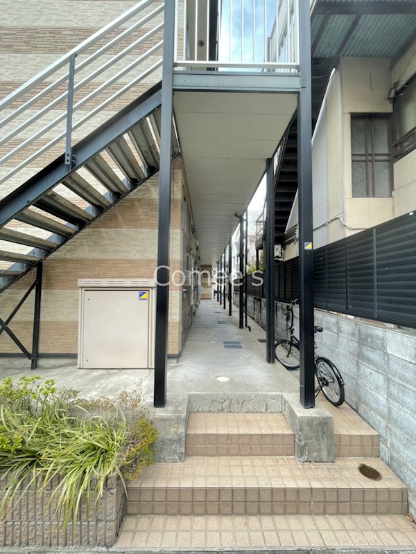 Ｍａｉｓｏｎ　Ａｏｙａｍａ その他1