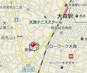 リアンフチュール山王 地図（共通）