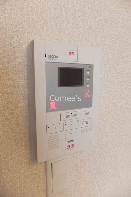 フラーズ　アント　ルポ セキュリティ