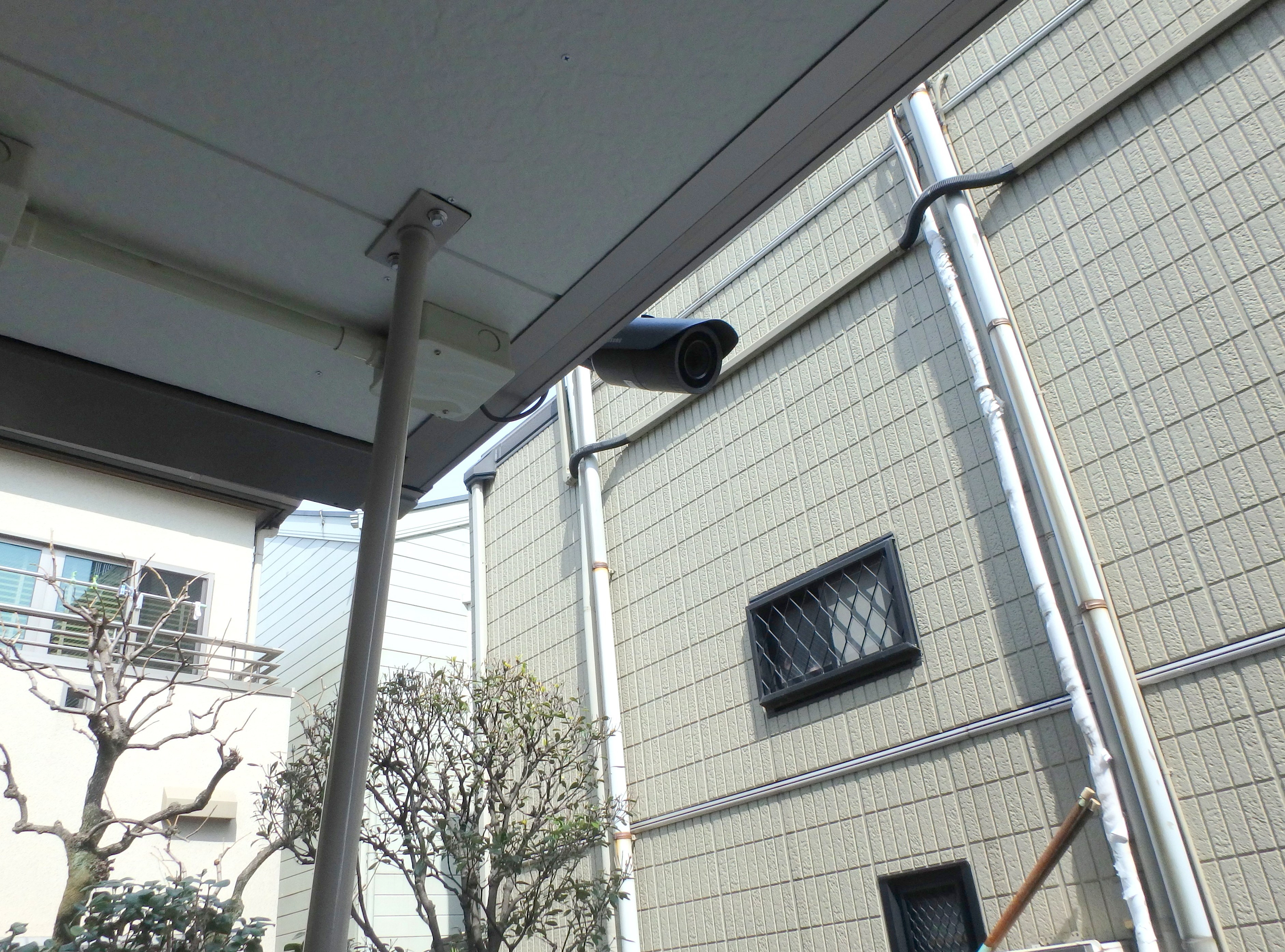 いちごの木 セキュリティ