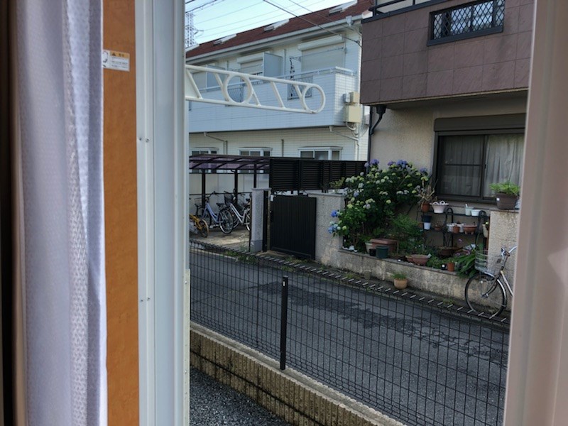 フリージア 眺望