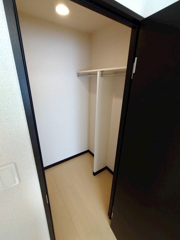 レモンバーム その他7