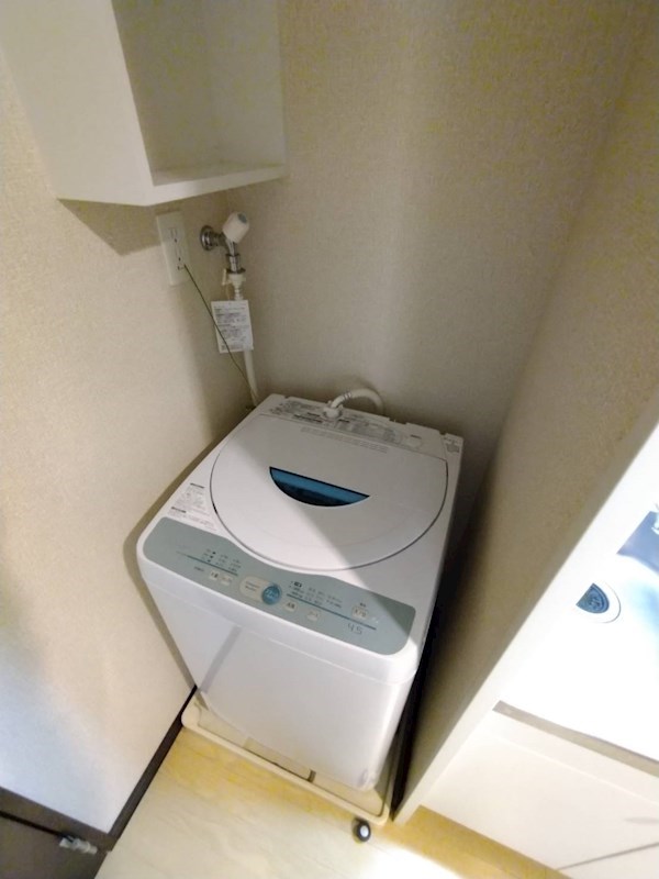 レモンバーム その他9