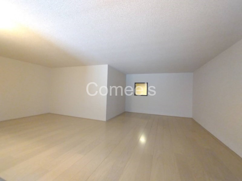 SKY その他