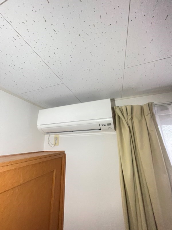 たぶの木 その他6