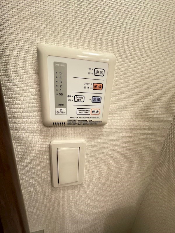 楓 その他8
