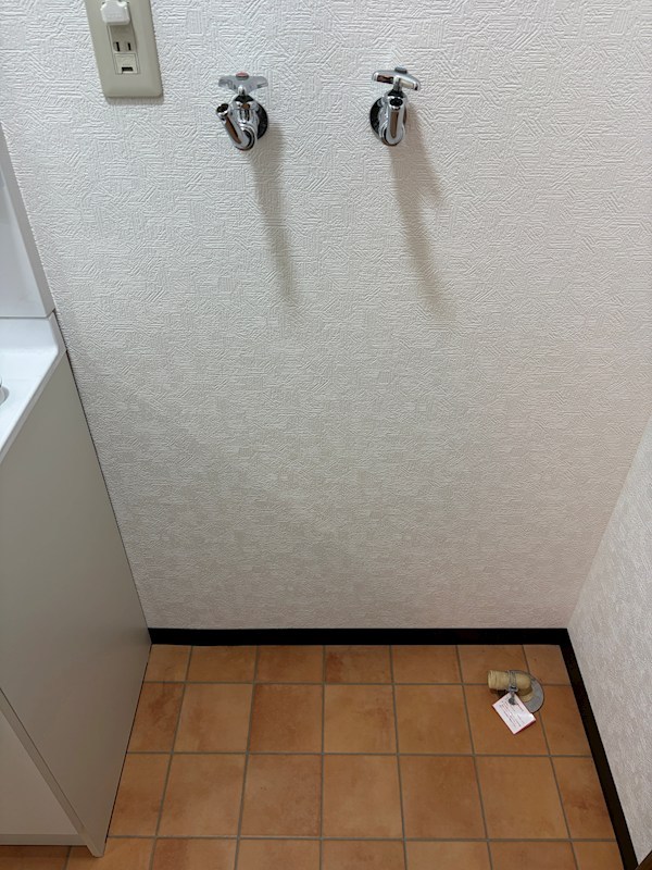 ネオルーセント その他