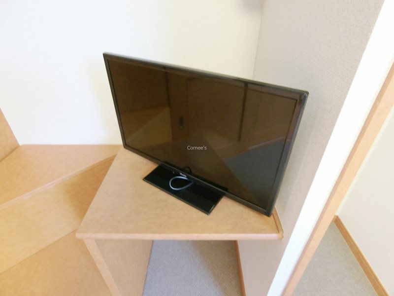 ステラⅡ その他20