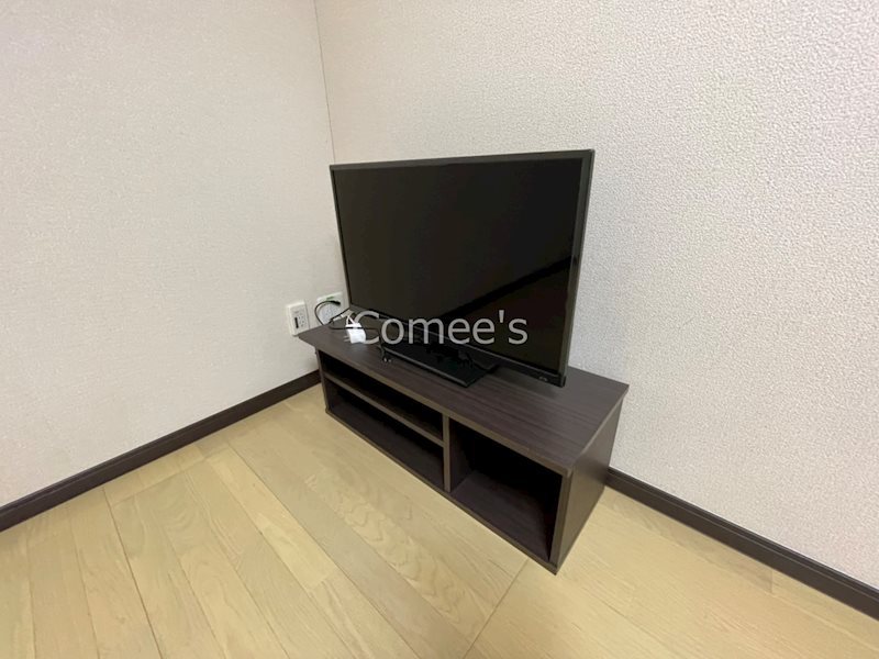 エーリラフトリー その他