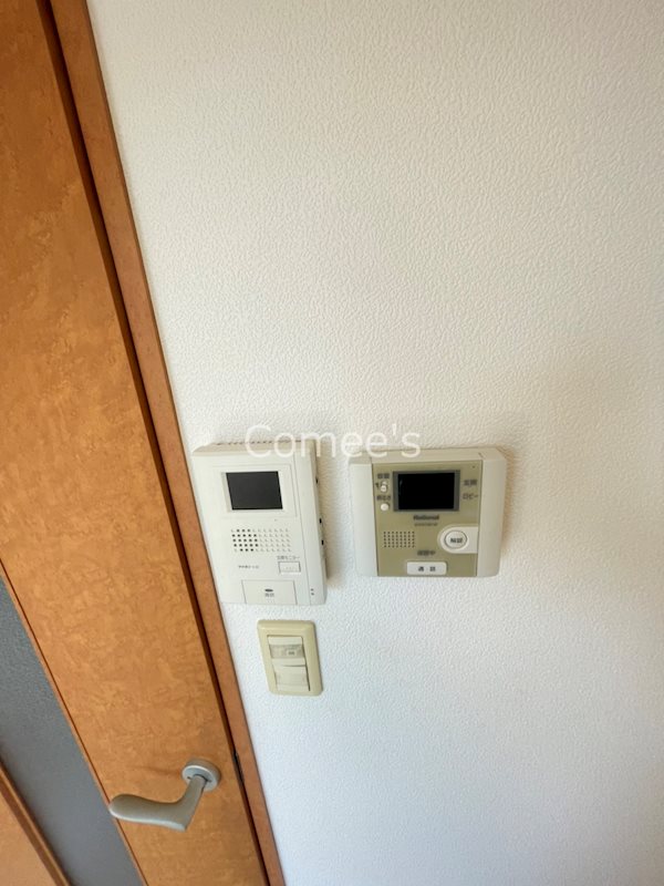 虹 セキュリティ