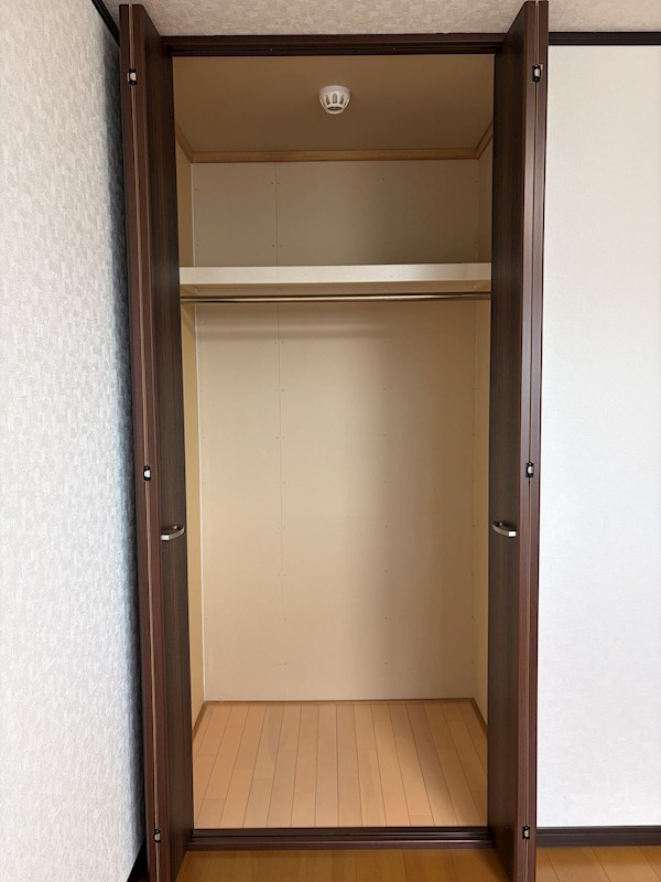 ECV（イーシブ） その他