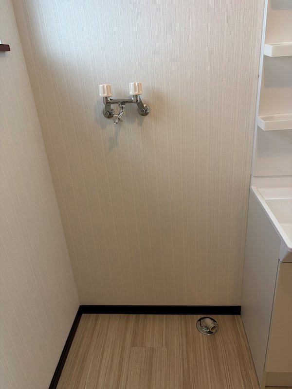 ECV（イーシブ） その他