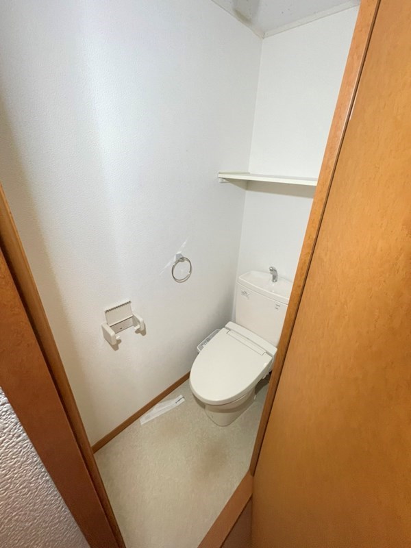 山茶花 その他5