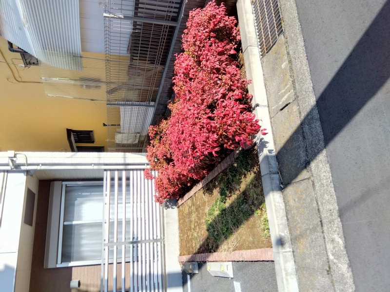 クレイノＴｅｒａ その他11