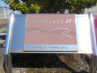 レオパレスＫＡＭＥＬＥＯⅡ　 その他9