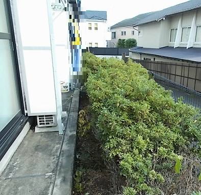 レオパレスフォンティーヌ その他6