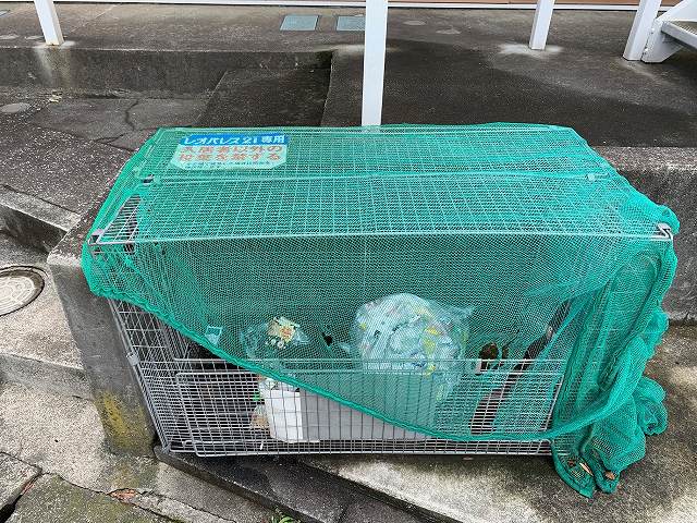 レオパレスべガ その他14