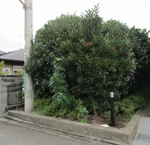 レオパレスひだまり その他6