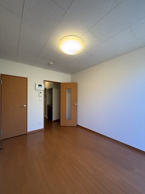 レオパレスカーツ その他11