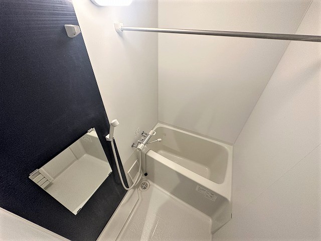 レオネクストグランツ　ハイツ 風呂画像
