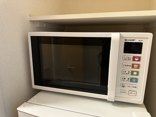 レオパレスリバーサイド晶栄 その他11