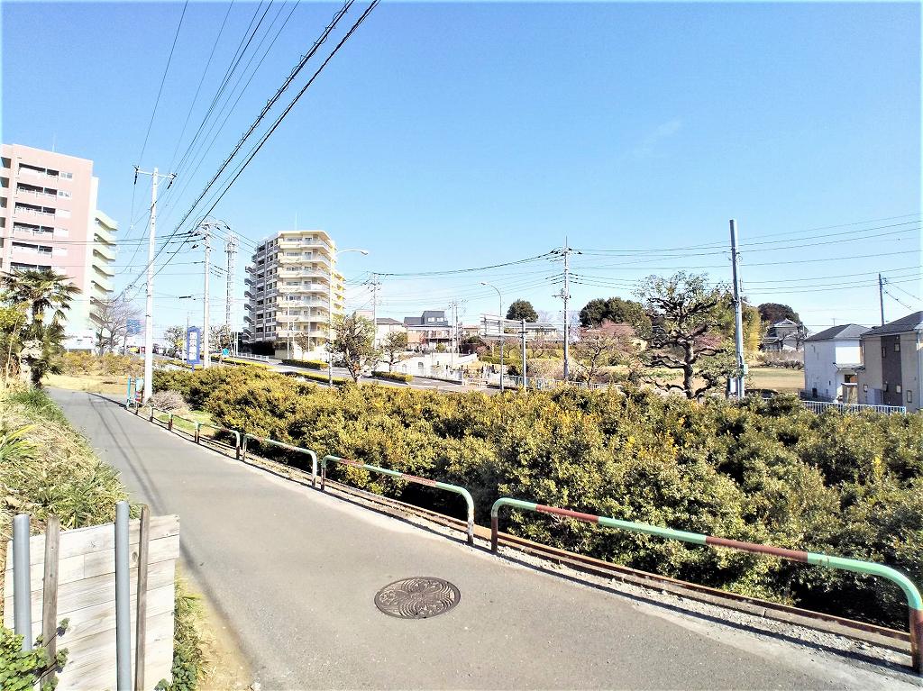 レオネクストシャルマン明花 その他8
