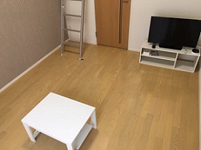クレイノひまわりＣ その他10