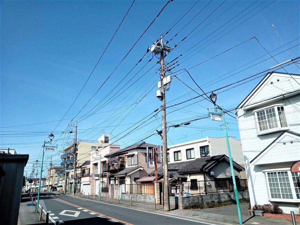 ミランダほほえみ その他8