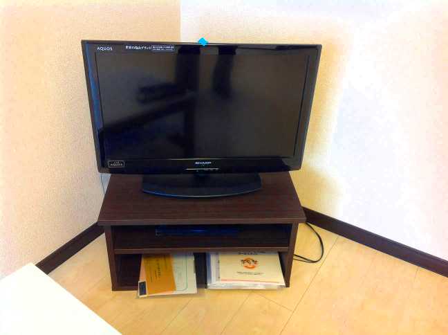 レオネクストエステシティⅢ その他11