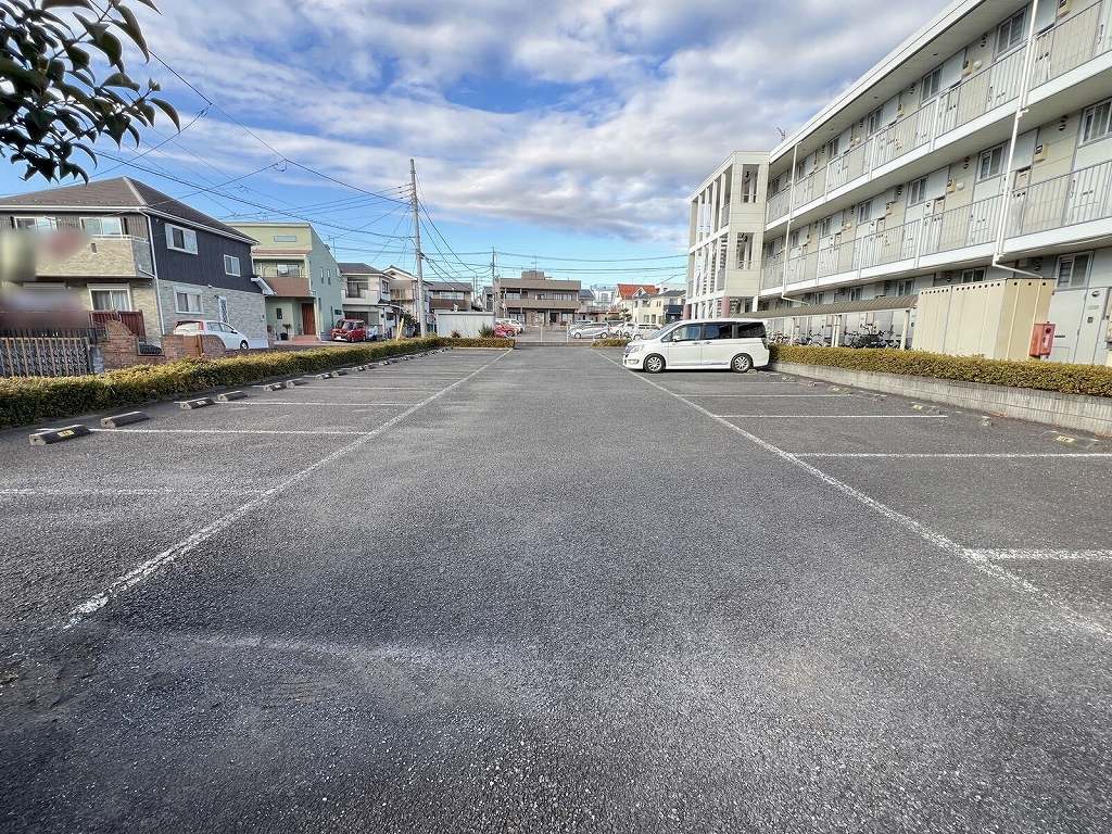レオパレストリド その他3