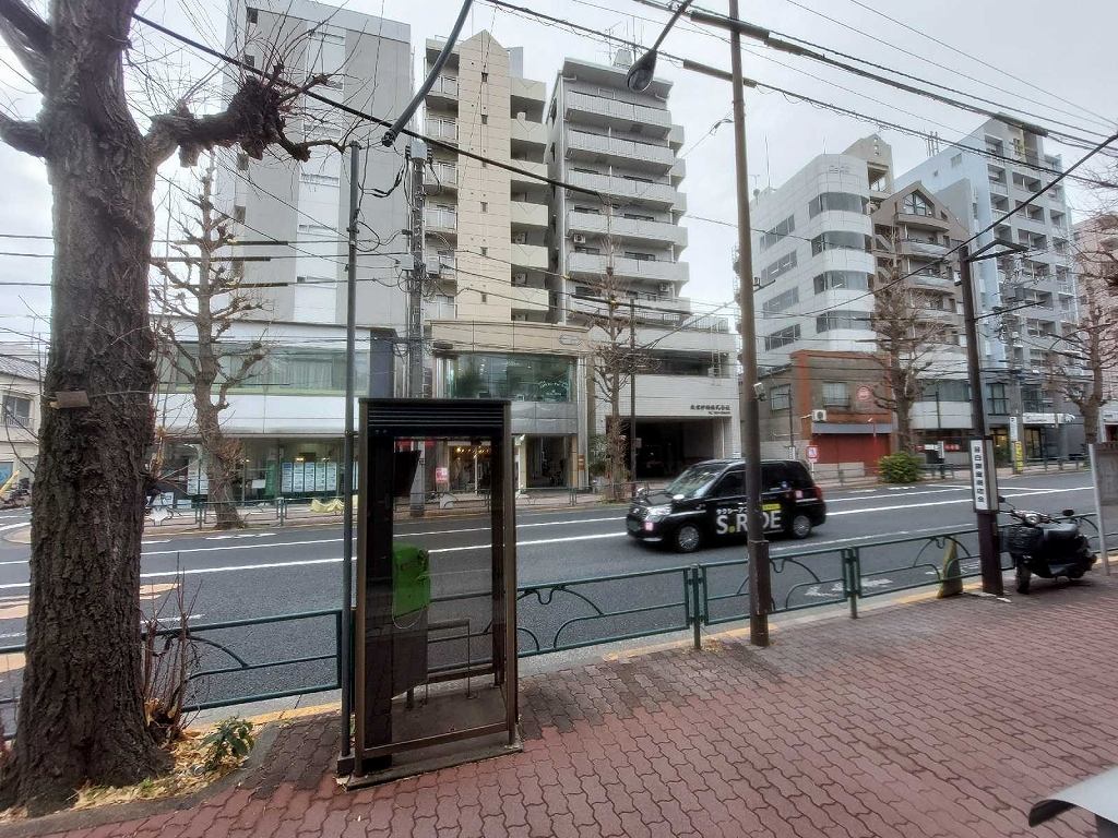レオネクストスヴニール目白 その他13