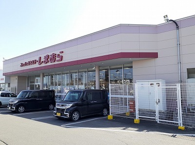 グレイス・柴田 その他