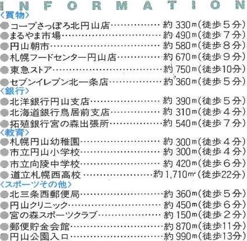 ハウス円山公園 レインズ用チラシ画像