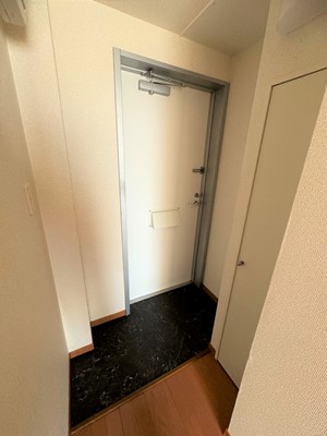 レオパレステラスつばさ 玄関