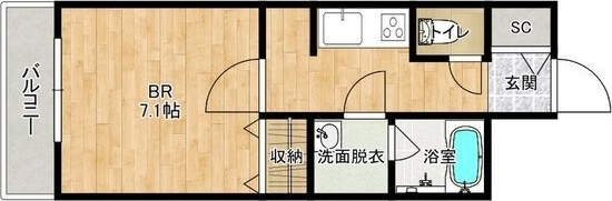 alesia北円山(旧　S-RESIDENCE北円山alesia) 間取り
