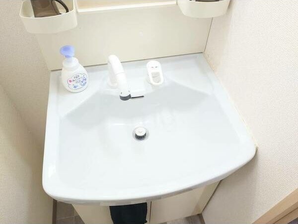 セントポーリアカルーア 洗面所