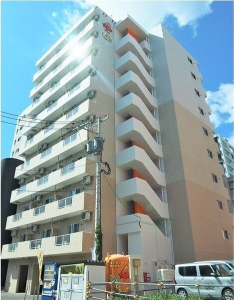 セントポーリアカルーア 外観
