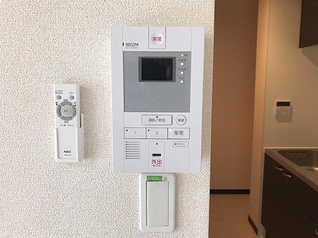 レオネクストレジナ その他