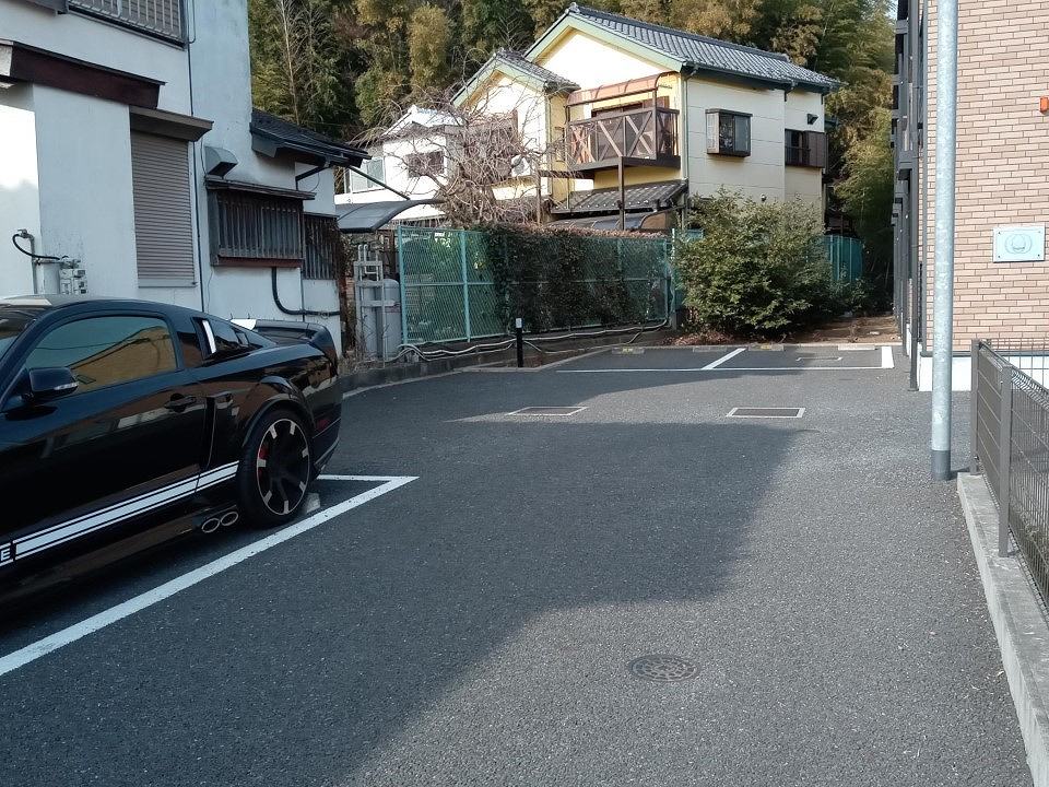 レオネクストレジナ その他