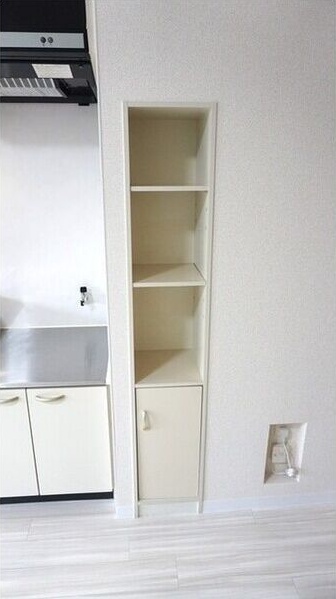 セントポーリアスィート 収納