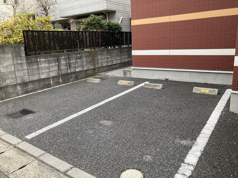 レオネクストペンタス その他