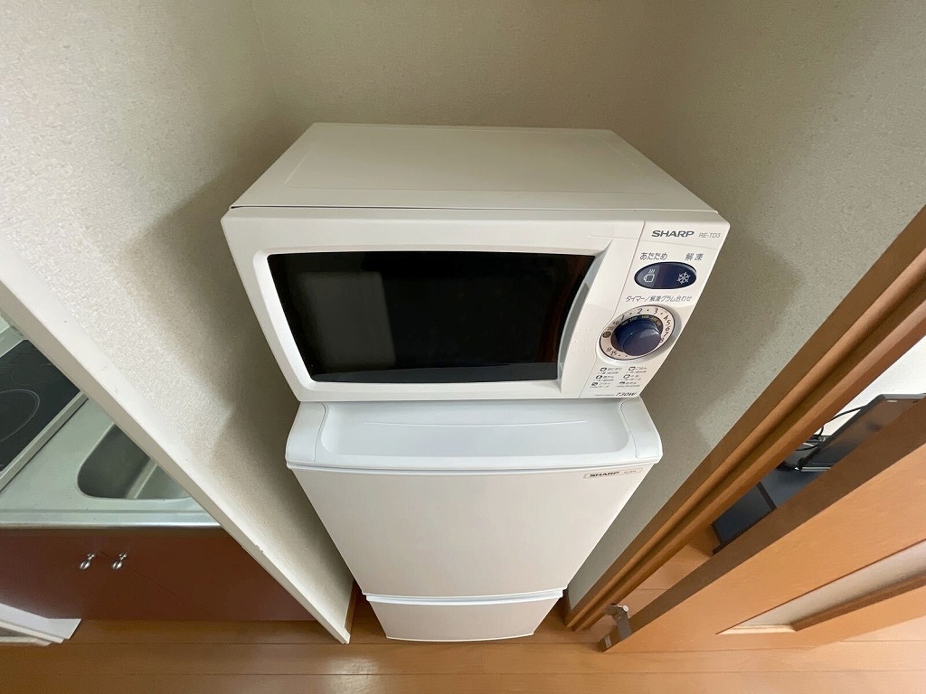 レオパレスタートルクレインⅡ その他