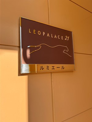 レオパレスルミエール その他