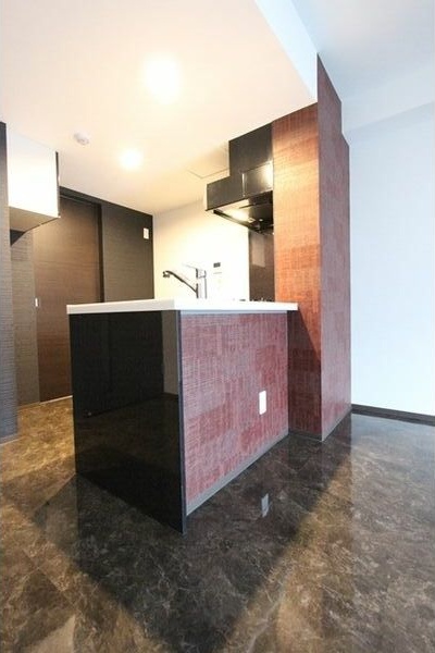 ヴォヤージュ円山 キッチン
