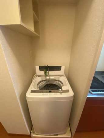 レオパレステラスつばさ その他